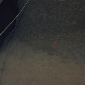 Zagađenje mora od ispusta Mljekare