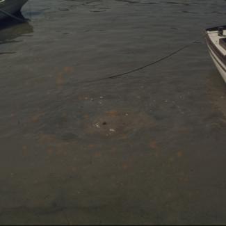 Suklja more iznad ispusta tvornice 