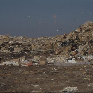 Gradski deponij - lijevo visoka hrpa smeća i u pozadini nadlijeću galebovi