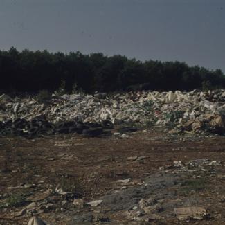 Gradski deponij - smeće pored borove šume