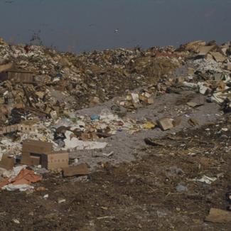 Gradski deponij; nakupine smeća; lijevo na horizontu jato galebova u grupi