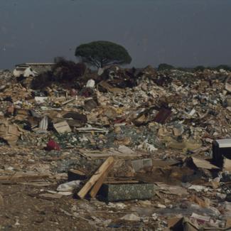 Bor okružen nakupinama smeća Gradski deponij