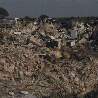 Gradski deponij; smeće ispred bora