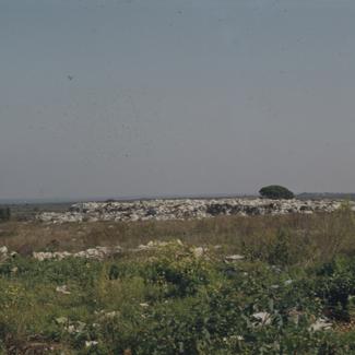 Smeće u hrpi okruženo zelenilom, Gradski deponij; bor u pozadini