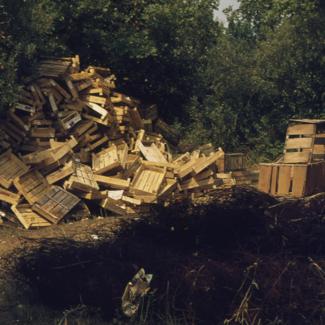 Ambalaža pored šume