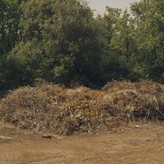 Suho granje pored šume