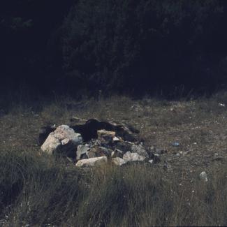 Ložište pored šume