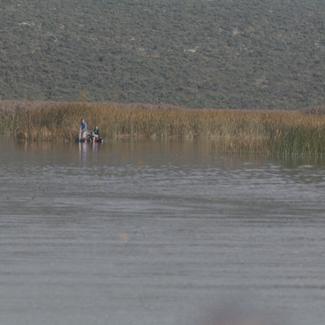 Vransko jezero - ribiči u trsci