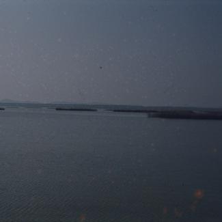 Trska u daljini - Vransko jezero