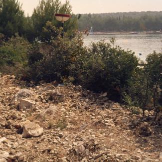 Makija i borovi pored mora, dio iskrčenog koridora zbog izgradnje vodovoda i kanalizacije