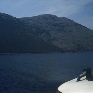 Šumski požar; granica uz dragu