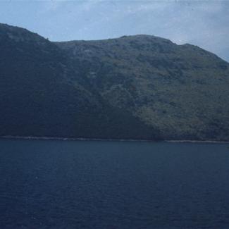 Posljedica šumskog požara