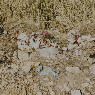 Otpad pored trske uz Zrmanju ispred tvornice 