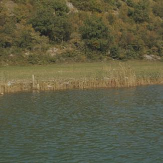 Zagađenje Zrmanje nizvodno od mosta u Obrovcu