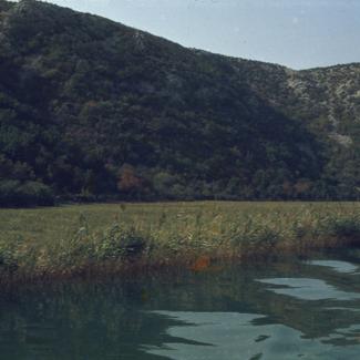 Pašnjaci pored vode