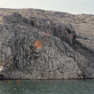 U ždrilu desna obala