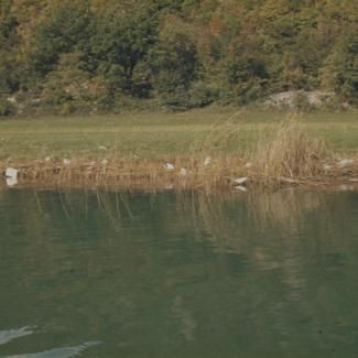Otpad plastike i ostalog smeća u trski uz rijeku odmah ispod naselja, nizvodno od mosta