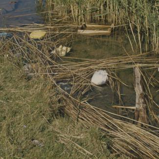 Smeće uz Zrmanju ispred tvornice trikotaže 