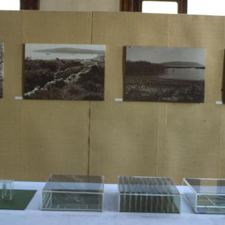 Desno u prostoru na panou lokaliteti - klifovi Dugi otok, Saharun, Vransko jezero, Paklenica, a ispred maketa - biljke tvorci kisika