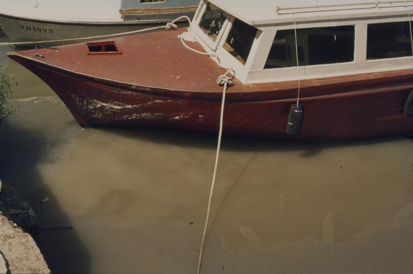 Zagađenje; ispust Mljekare u more