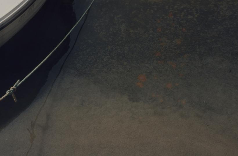 Zagađenje mora od ispusta Mljekare