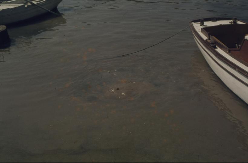 Suklja more iznad ispusta tvornice 