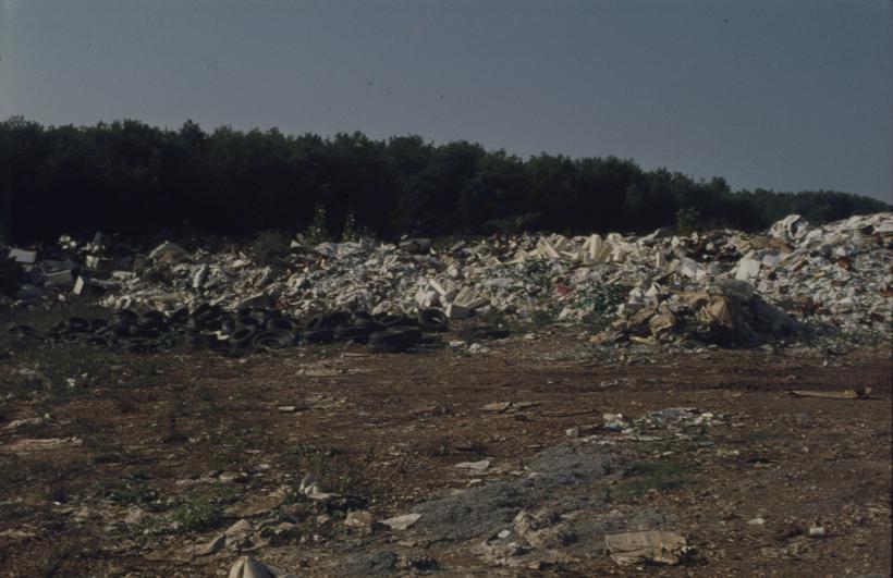 Gradski deponij - smeće pored borove šume