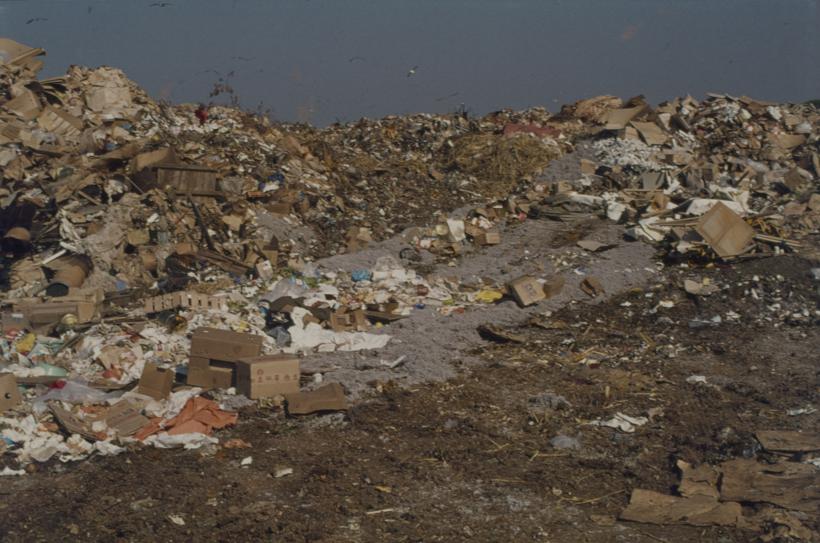 Gradski deponij; nakupine smeća; lijevo na horizontu jato galebova u grupi