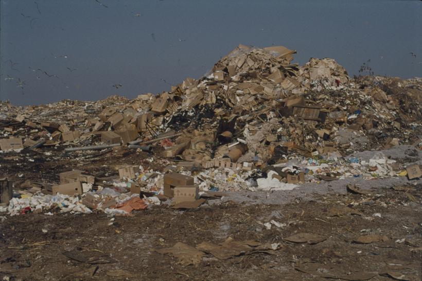 Nakupine smeća; desno formiran brijeg; gradski deponij; galebovi