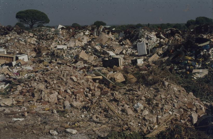 Gradski deponij; smeće ispred bora