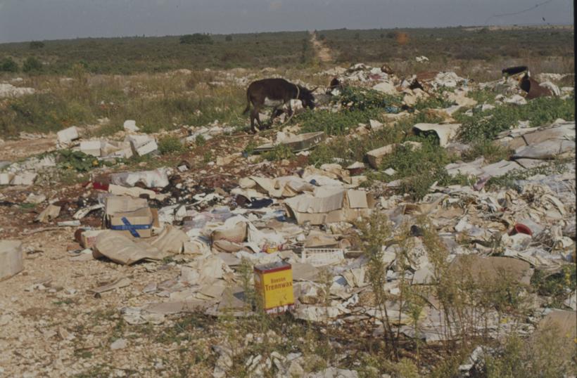 Gradski deponij; magarac u potrazi za hranom