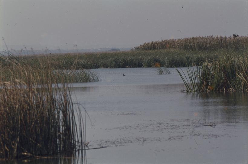 Vransko jezero - gledano prema zapadu