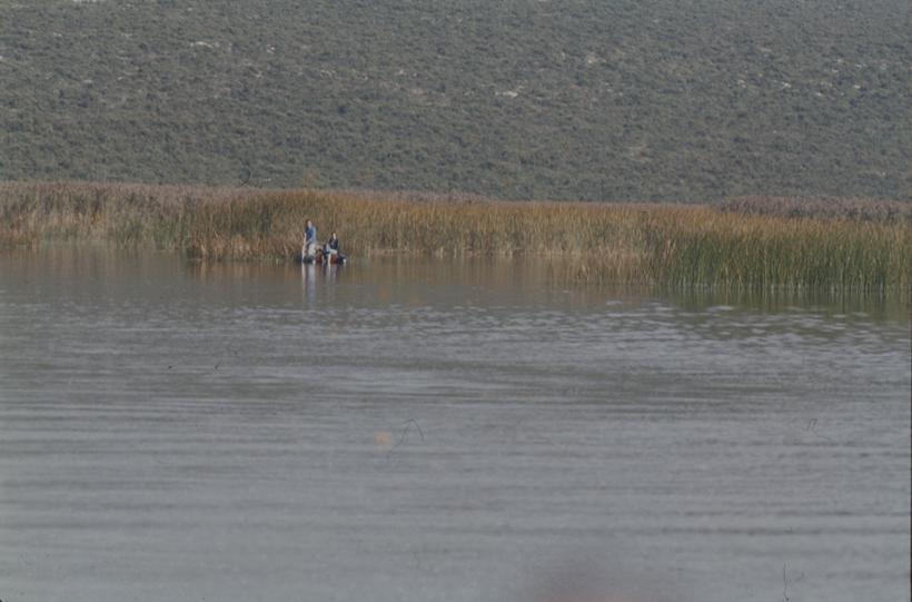 Vransko jezero - ribiči u trsci