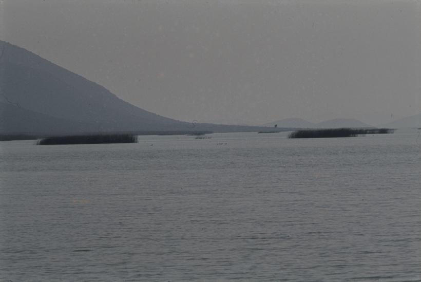 Otoci trske u podnožju brda - Vransko jezero