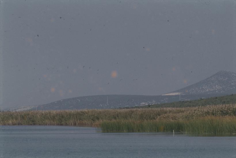 Trska pogled sa jezera prema poljoprivrednom dobru Vrana