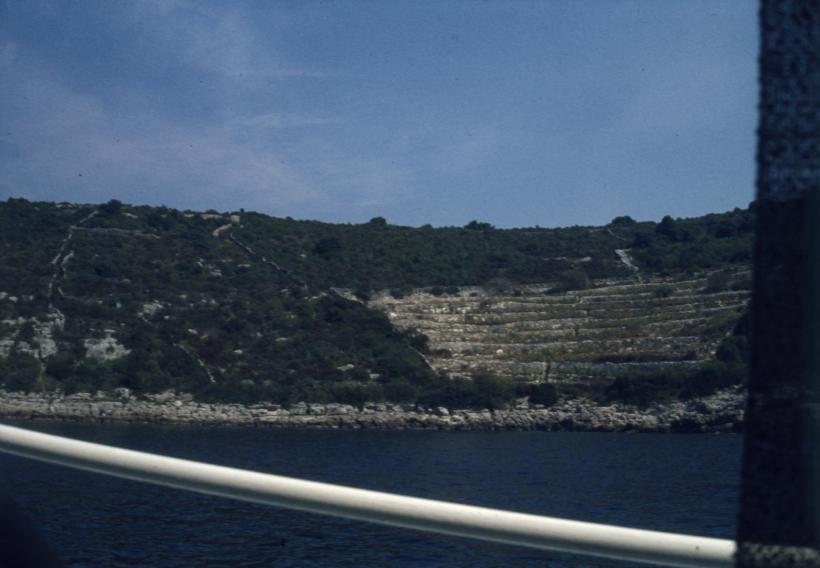 Vinogradi na terasama - makija