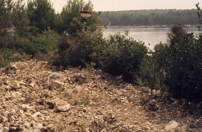 Makija i borovi pored mora, dio iskrčenog koridora zbog izgradnje vodovoda i kanalizacije