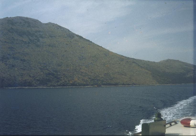 Makija uništena požarom kod Luke