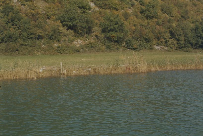 Zagađenje Zrmanje nizvodno od mosta u Obrovcu