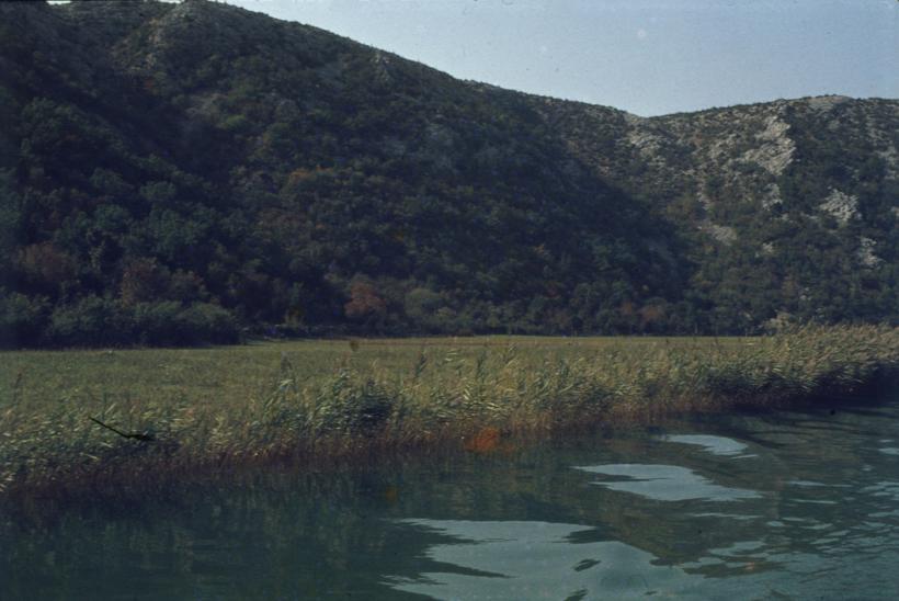 Pašnjaci pored vode