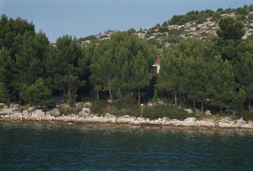 Uvala Magrovica; u šumici kuće s crvenim krovom (Šveđanin)