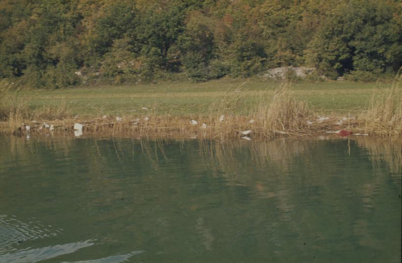 Otpad plastike i ostalog smeća u trski uz rijeku odmah ispod naselja, nizvodno od mosta