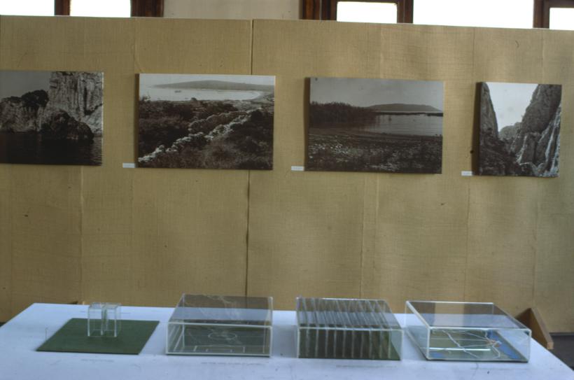 Desno u prostoru na panou lokaliteti - klifovi Dugi otok, Saharun, Vransko jezero, Paklenica, a ispred maketa - biljke tvorci kisika