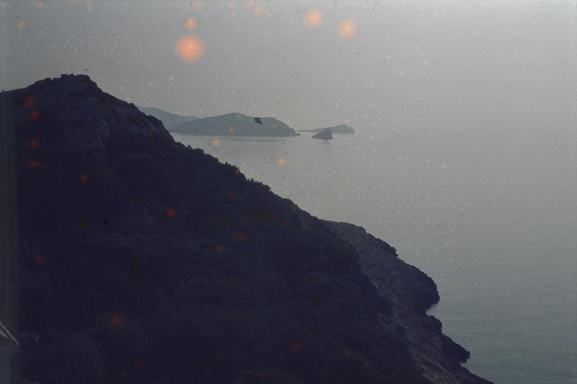 Tajer - Vela Sestrica