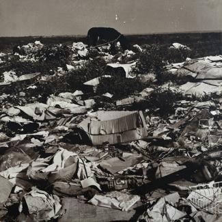 Gradski deponij pored ceste Zadar - Nin U isčekivanju smrti - magarac