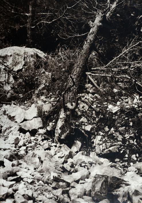 Bor stradao nakon miniranja