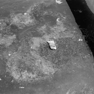 Zagađivanje mora u Jazinama ispred kuće u nekadašnjoj Ul. Nikole Tesle 3