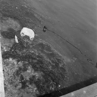 Zagađivanje mora - ispred Crvene kuće - nekadašnja ulica Nikole Tesle 3