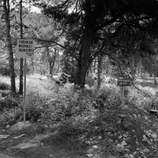 Znak zabrane bacanja smeća; raskrižje Nin-Borik-Bokanjac