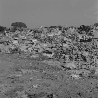 Gradski deponij - u pozadini bor, a nadlijeću galebovi